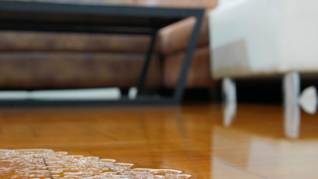 Water Damage Restoration services | DMV Dream Clean