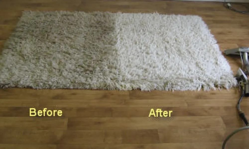 Area-Rug-Cleaning-Jacksonville