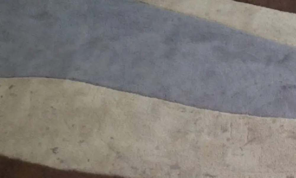Rug Cleaning Services | DMV Dream Clean