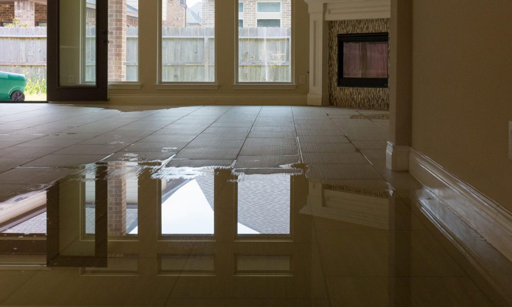 Water Damage Restoration services | DMV Dream Clean