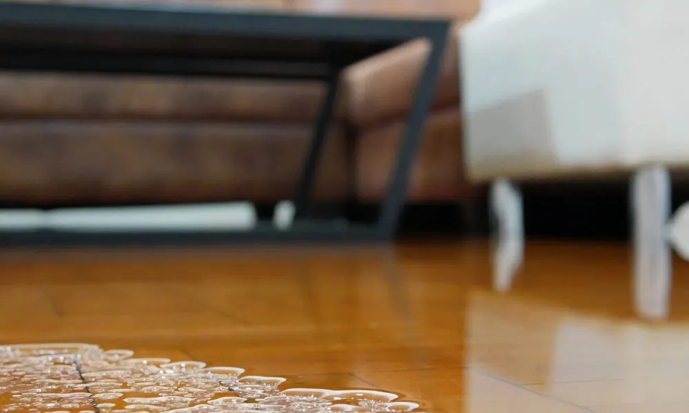 Water Damage Restoration services | DMV Dream Clean