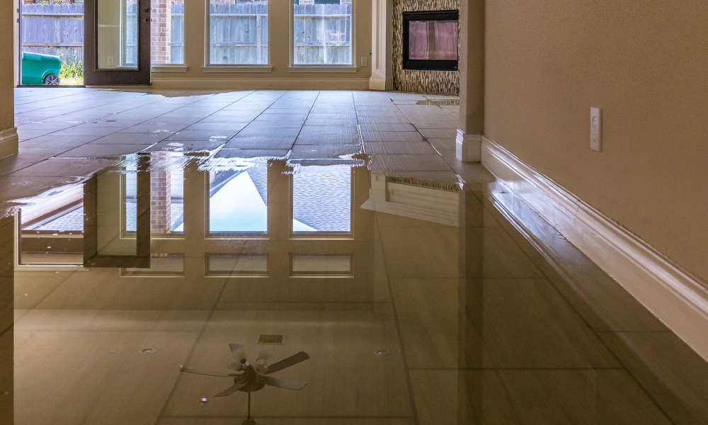 Water Damage Restoration services | DMV Dream Clean