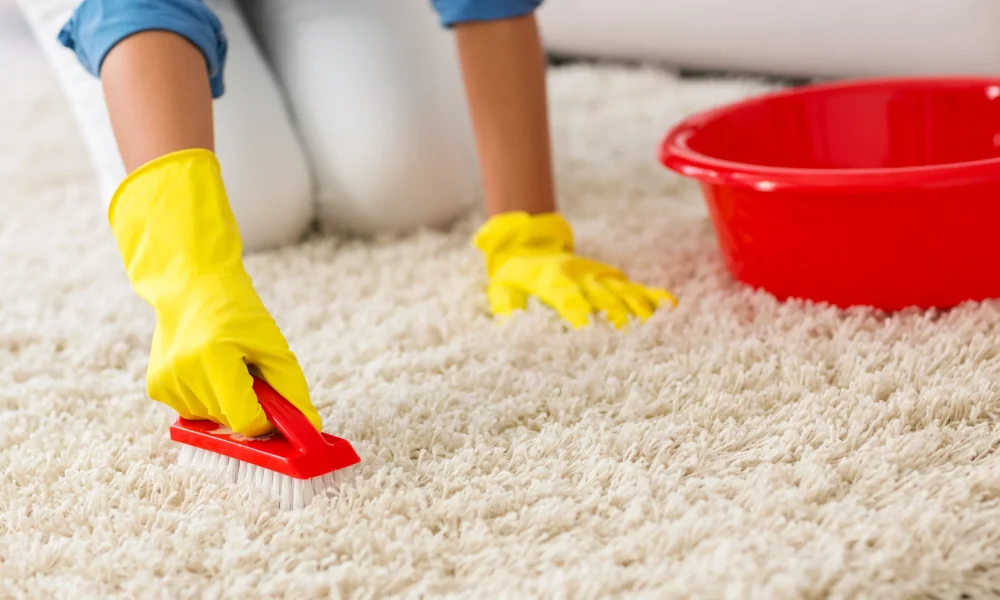 woman-washing-carpet-brush-home-769456656